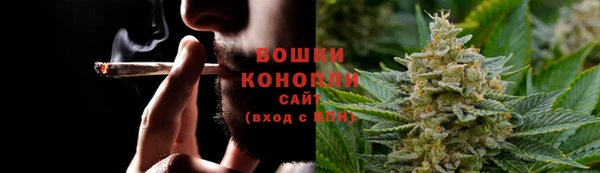 винт Майский