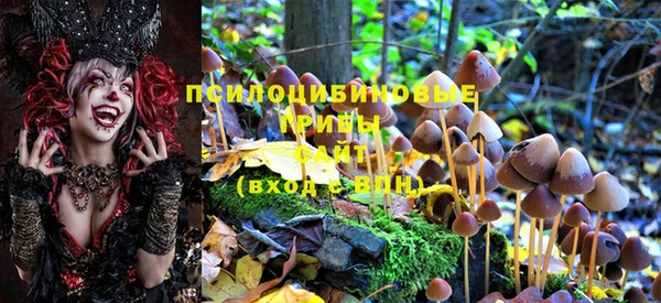 винт Майский